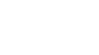 Von Opel Foundation